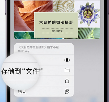 朝天apple维修中心分享iPhone文件应用中存储和找到下载文件