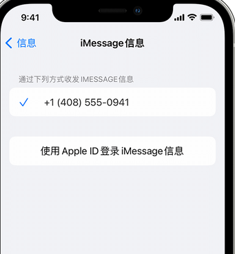 朝天apple维修iPhone上无法正常发送iMessage信息 