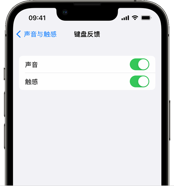 朝天苹果14维修店分享如何在 iPhone 14 机型中使用触感键盘 