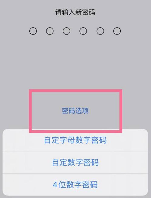 朝天苹果14维修分享iPhone 14plus设置密码的方法 