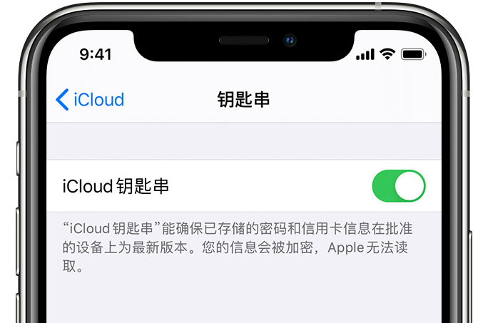 朝天苹果手机维修分享在 iPhone 上开启 iCloud 钥匙串之后会储存哪些信息 