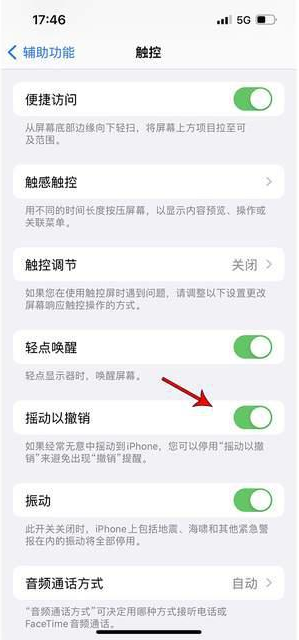 朝天苹果手机维修分享iPhone手机如何设置摇一摇删除文字 